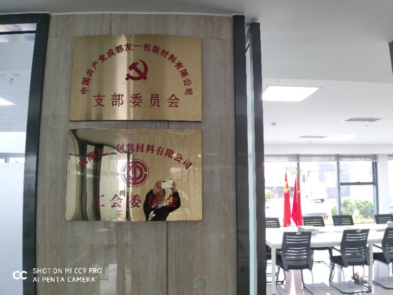 热烈祝贺南宫体育集团成都分公司党支部在2020年3月11日授牌成立，支部书记曹云(行政部经理)